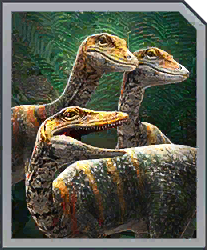 coelophysis