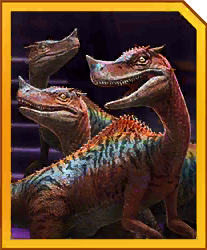 coelotator