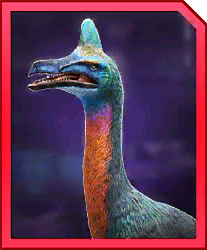 erlidraco