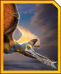 guidraco