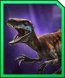 raptoceras