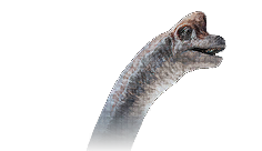 Brachiosaurus