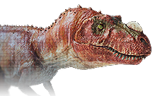 Ceratosaurus