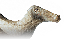 Deinocheirus