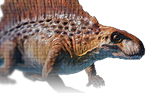 Dimetrodon