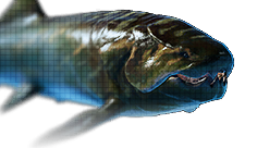 Dunkleosteus