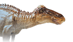 Edmontosaurus