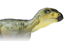 Hypsilophodon