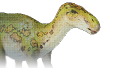 Iguanodon
