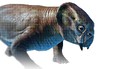 Lystrosaurus