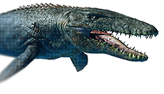 Mosasaurus