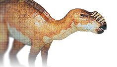 Muttaburrasaurus
