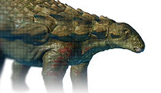 Nodosaurus