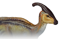 Parasaurolophus