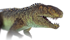 Postosuchus