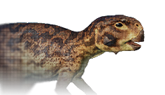 Psittacosaurus