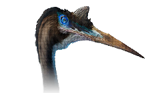 Quetzalcoatlus