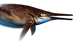 Shonisaurus
