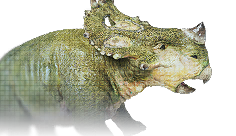 Sinoceratops