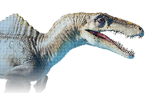 Spinoraptor