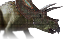 Torosaurus