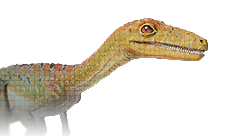 Troodon