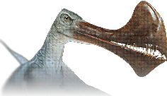 Tropeognathus