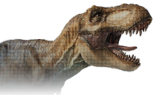 Tyrannosaurus Rex