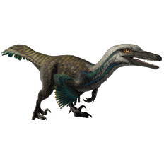 Austroraptor