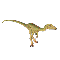 Compsognathus