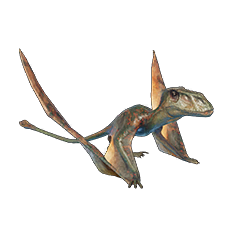 Dimorphodon