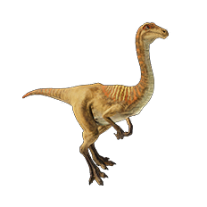 Gallimimus