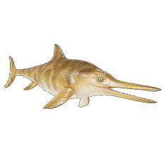 Ichthyosaurus