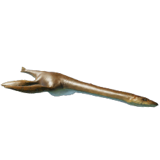 Plesiosaurus