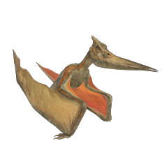 Pteranodonte