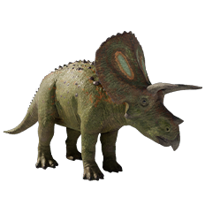 Torosaurus