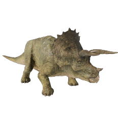 Triceratops