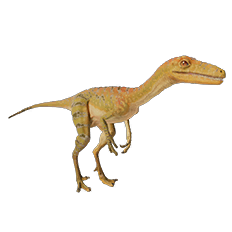 Troodon