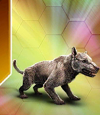 amphicyon_gen_2
