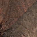 apatosaurus_ajax
