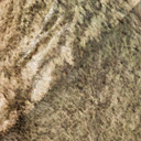 argentinosaurus_huinculensis