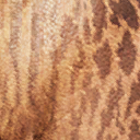 brachiosaurus_altithorax