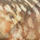 dryosaurus_altus