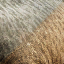 muttaburrasaurus_langdoni