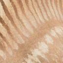 ouranosaurus_nigeriensis
