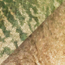parasaurolophus_cyrtocristatus