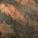 psittacosaurus_mongoliensis