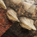 scelidosaurus_harrisonii