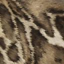 smilodon_fatalis