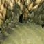 stegosaurus_stenops